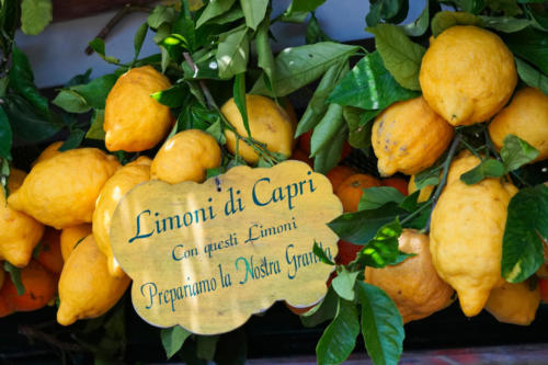 Zitronen aus Capri