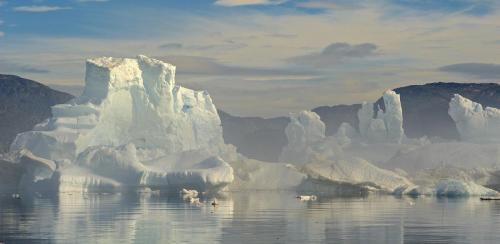 IceFjord