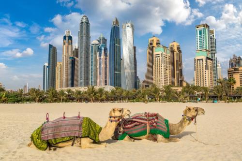 Camel in front of Dubai Marina