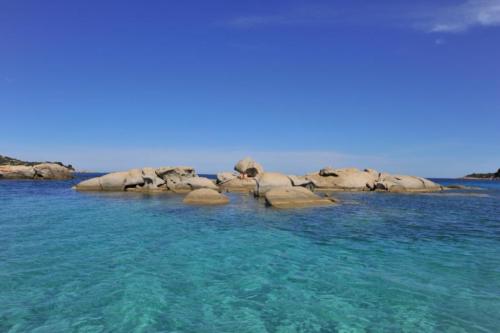 242089868_255281286601154_382465797760529020__Balla Ivett