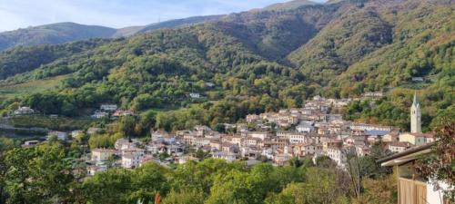 329457141_1231870767444876_3626527143786438075_n