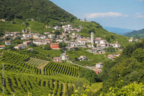 335076088_155568757364828_1083675524512732908_n