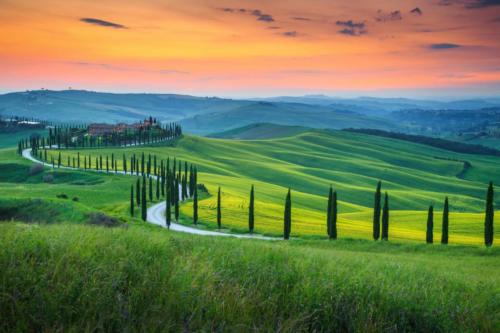 Famous Tuscany landscape with curved road and cypress, Italy, Eu