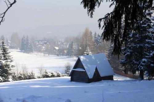 snow-g282355c1a_1280